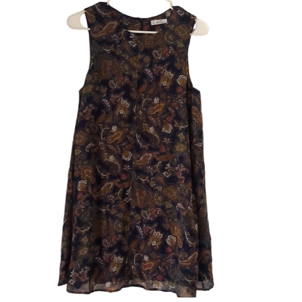 Woman’s brown and blue fall paisley on the road Anthro sleeveless midi dress